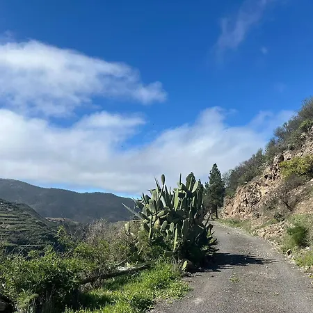 Cuevas La Solana * Gáldar